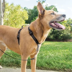 3 in 1 Harness & car restraint for dogs