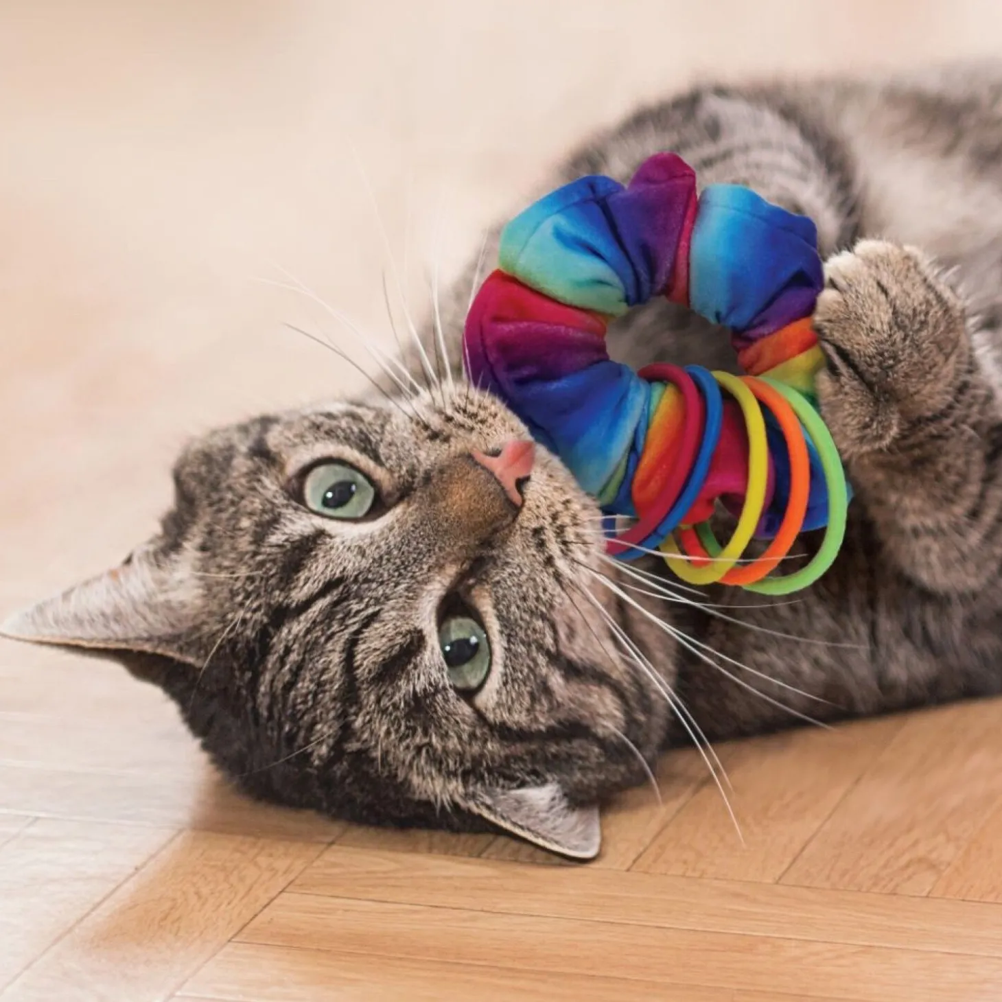 Active Scrunchie Cat Toy
