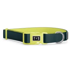 Adjustable Dog Collar