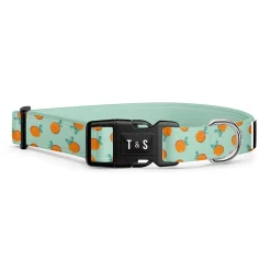 Adjustable Dog Collar