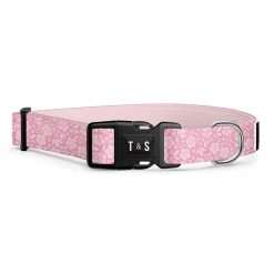 Adjustable Dog Collar
