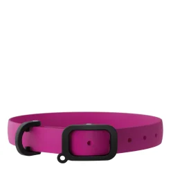 Adjustable Dog Collar, M