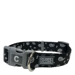 Adjustable Dog Collar, Paisley