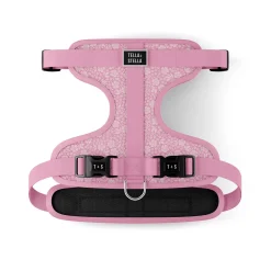 Adjustable Dog Harness