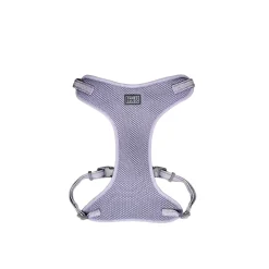 Adjustable Mesh Dog Harness, Cosmic Sky
