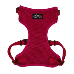 Adjustable mesh harness