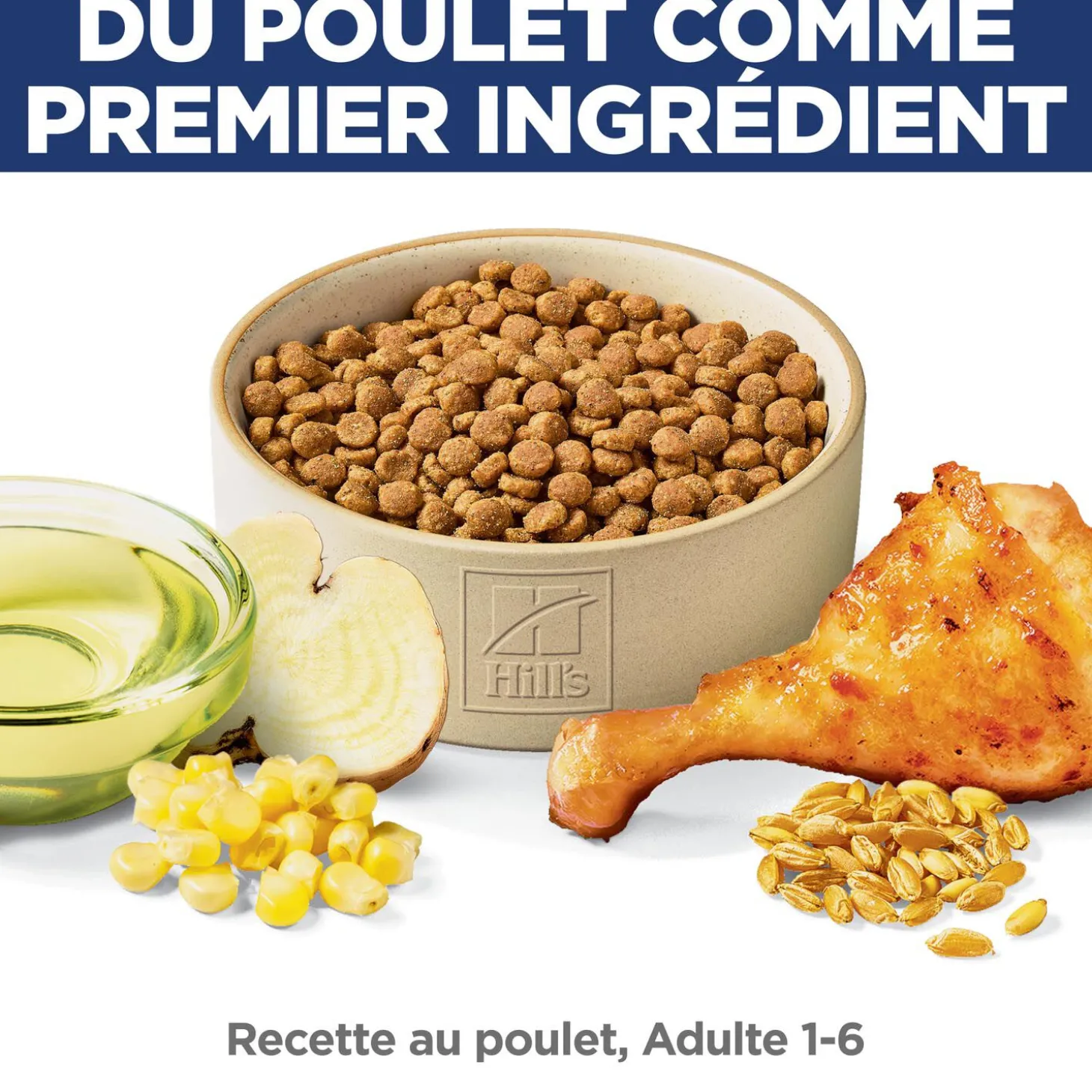 Adult Chicken Dry Cat Food, 3.18 kg