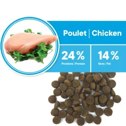 Adult Chicken Formula Medium and Large Breeds