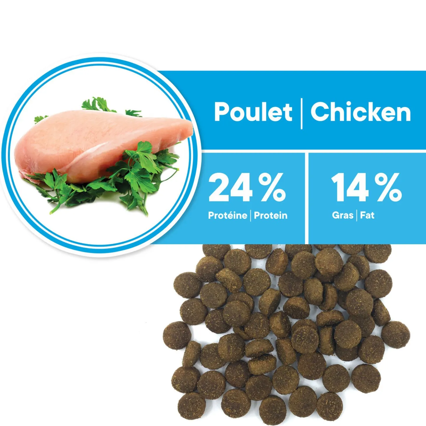 Adult Chicken Formula Medium and Large Breeds