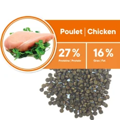 Adult Chicken Formula Toy and Small Breeds