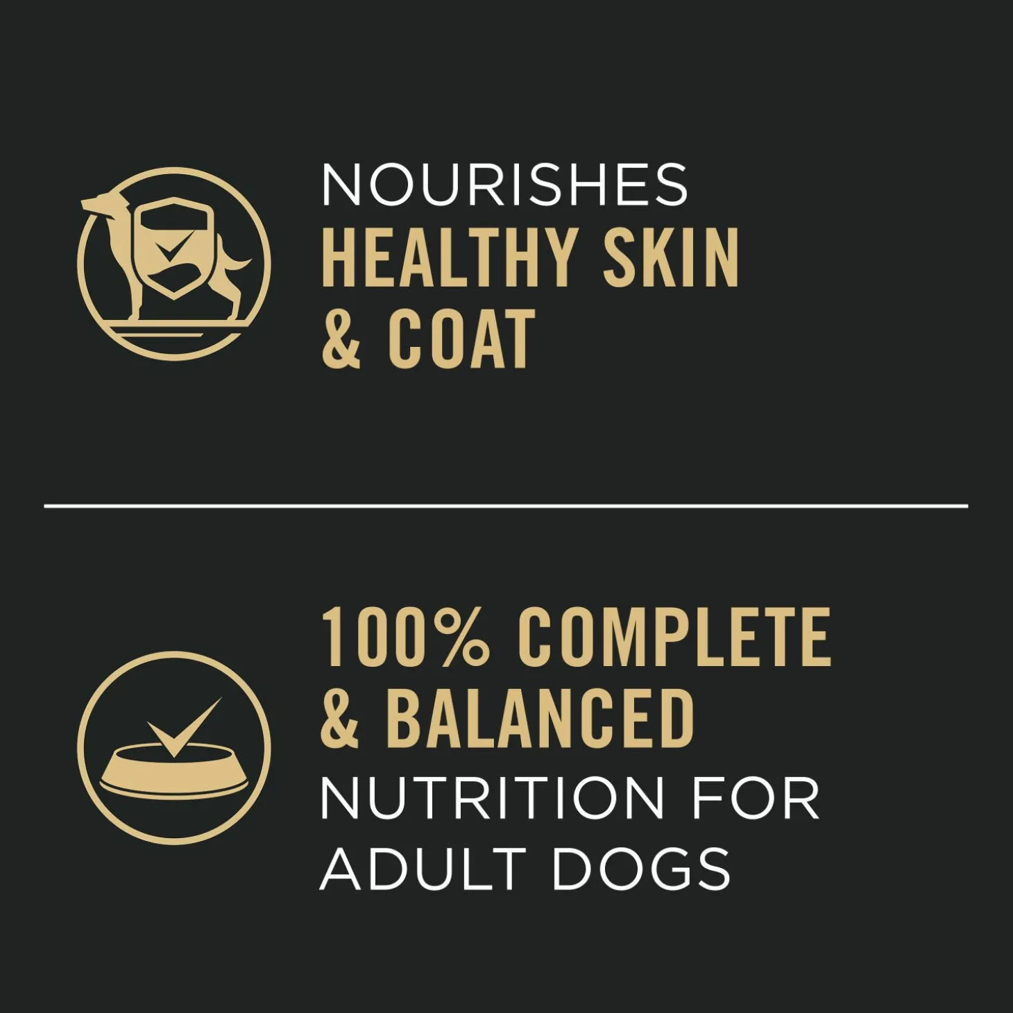 Adult Complete Essentials Chicken & Rice Entrée Classic Wet Dog Food, 368 g