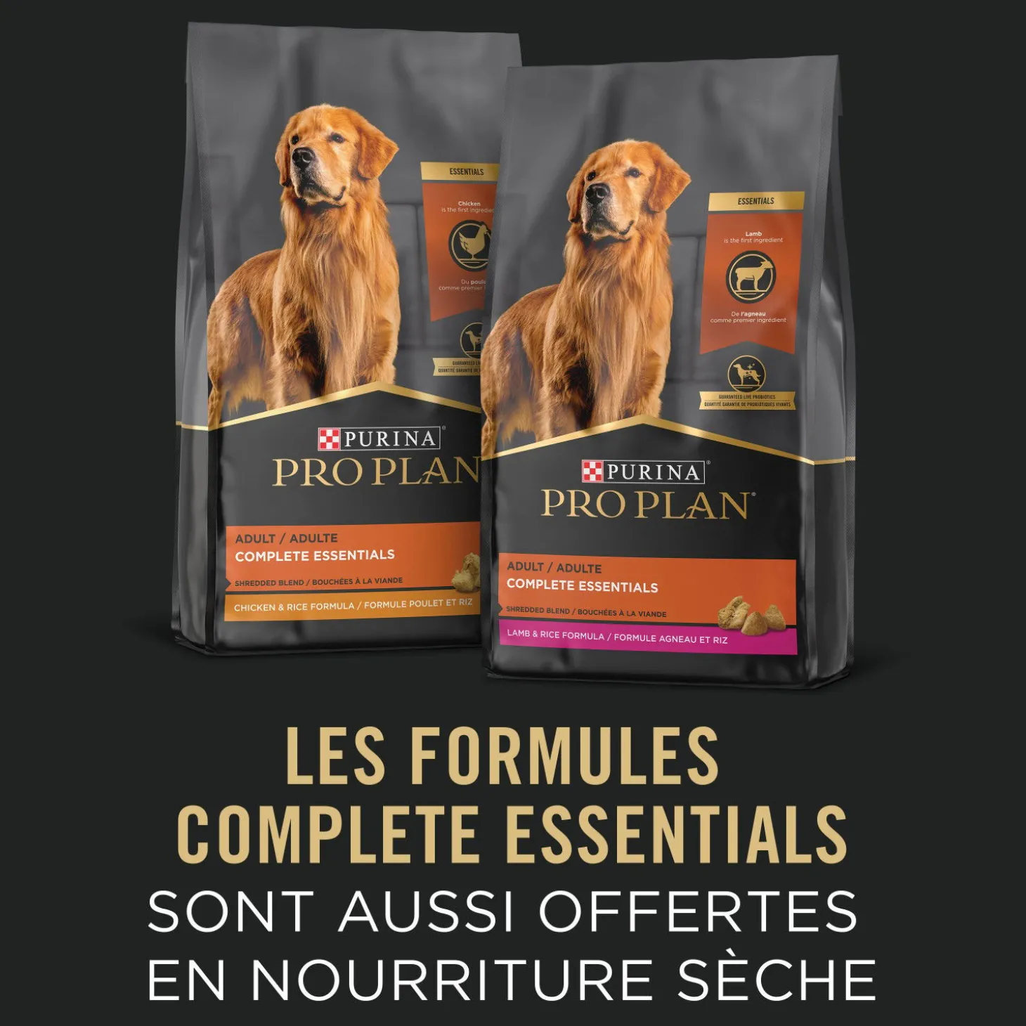 Adult Complete Essentials Chicken & Rice Entrée Classic Wet Dog Food, 368 g