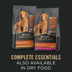Adult Complete Essentials Chicken & Rice Entrée Classic Wet Dog Food, 368 g