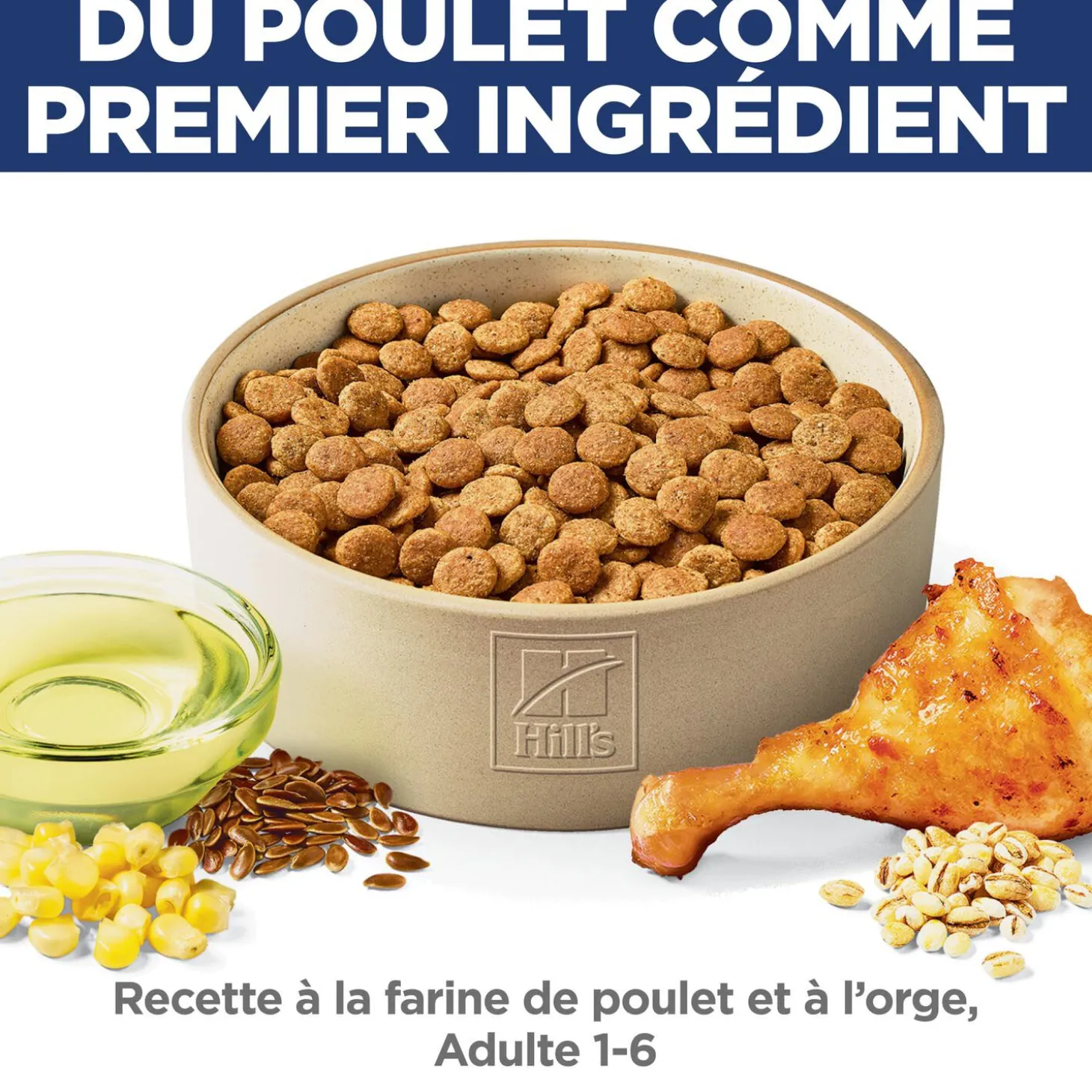 Adult Dry Chicken & Barley Dog Food, 15.9 kg