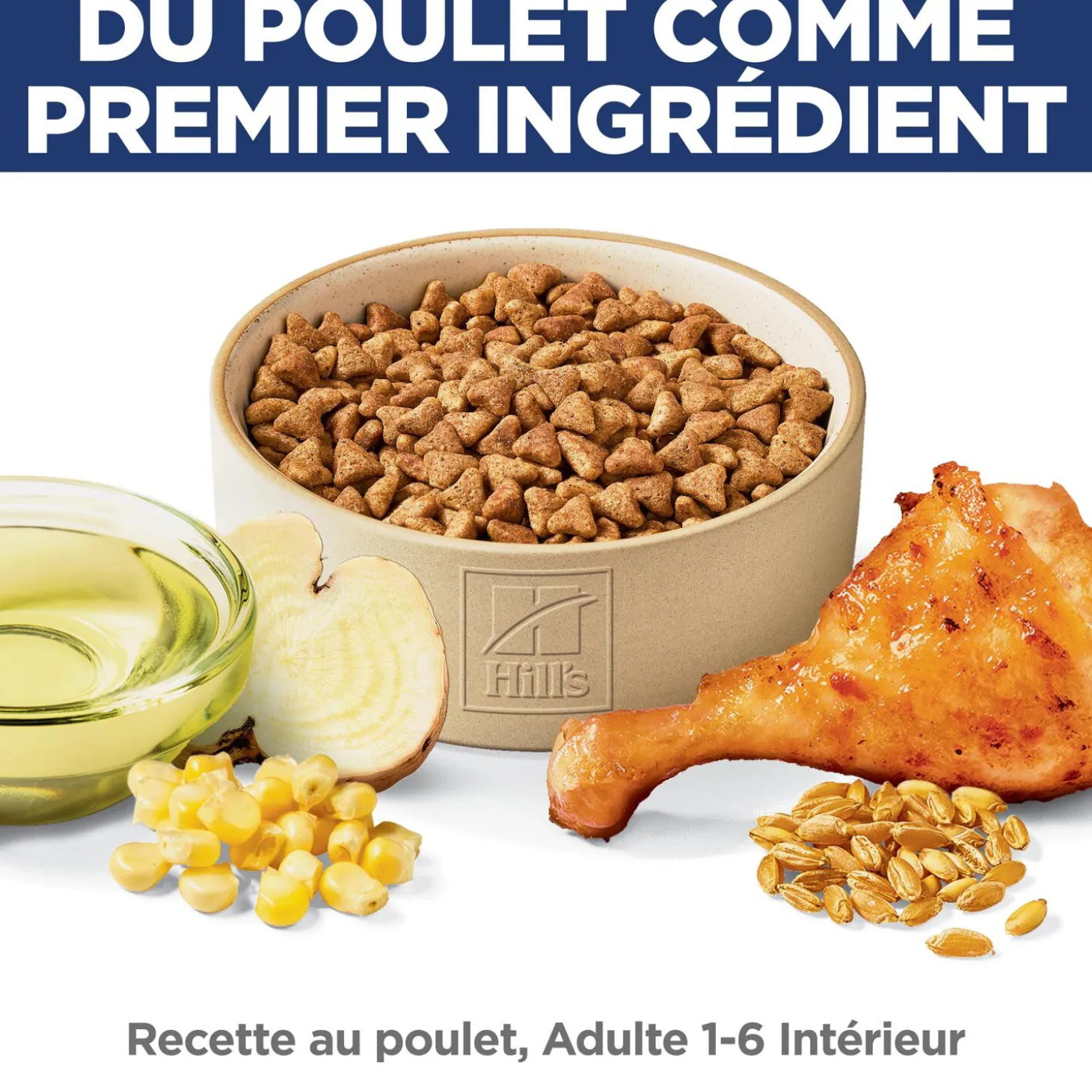 Adult Indoor Dry Chicken Cat Food, 1.59 kg