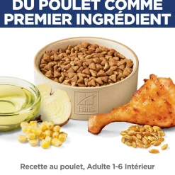 Adult Indoor Dry Chicken Cat Food, 7.03 kg