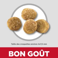 Adult Light Small & Mini Chicken & Barley Dry Dog Food, 2 kg