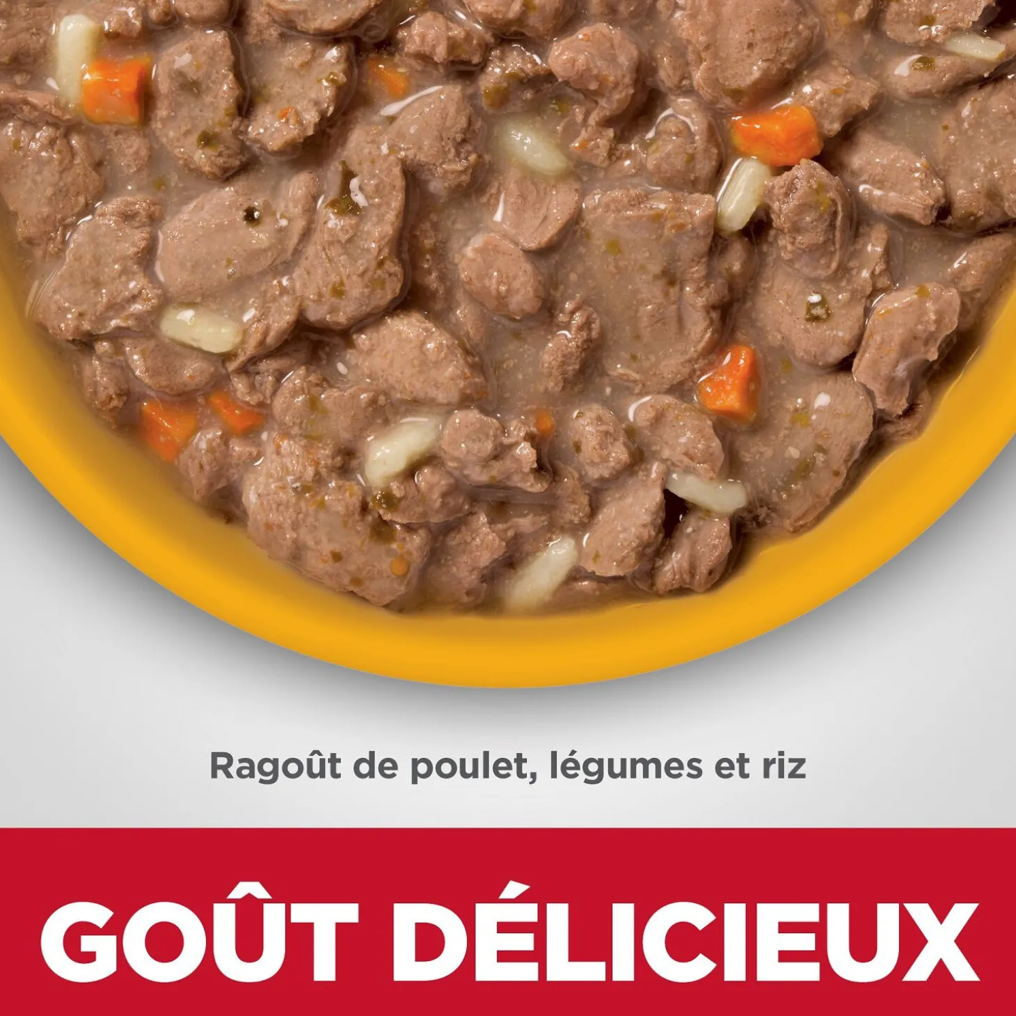 Adult Perfect Digestion Canned Cat Food