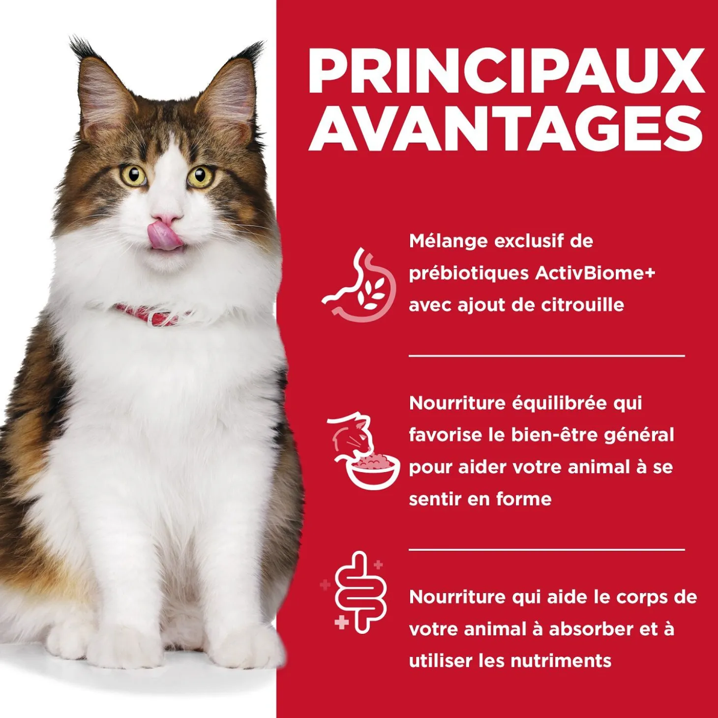 Adult Perfect Digestion Canned Cat Food