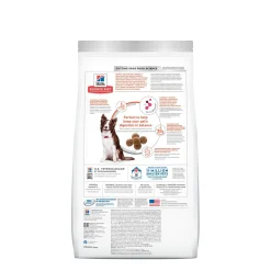 Adult Perfect Digestion Chicken, Brown Rice & Whole Oats Recipe Dry Dog Food, 1.59 kg