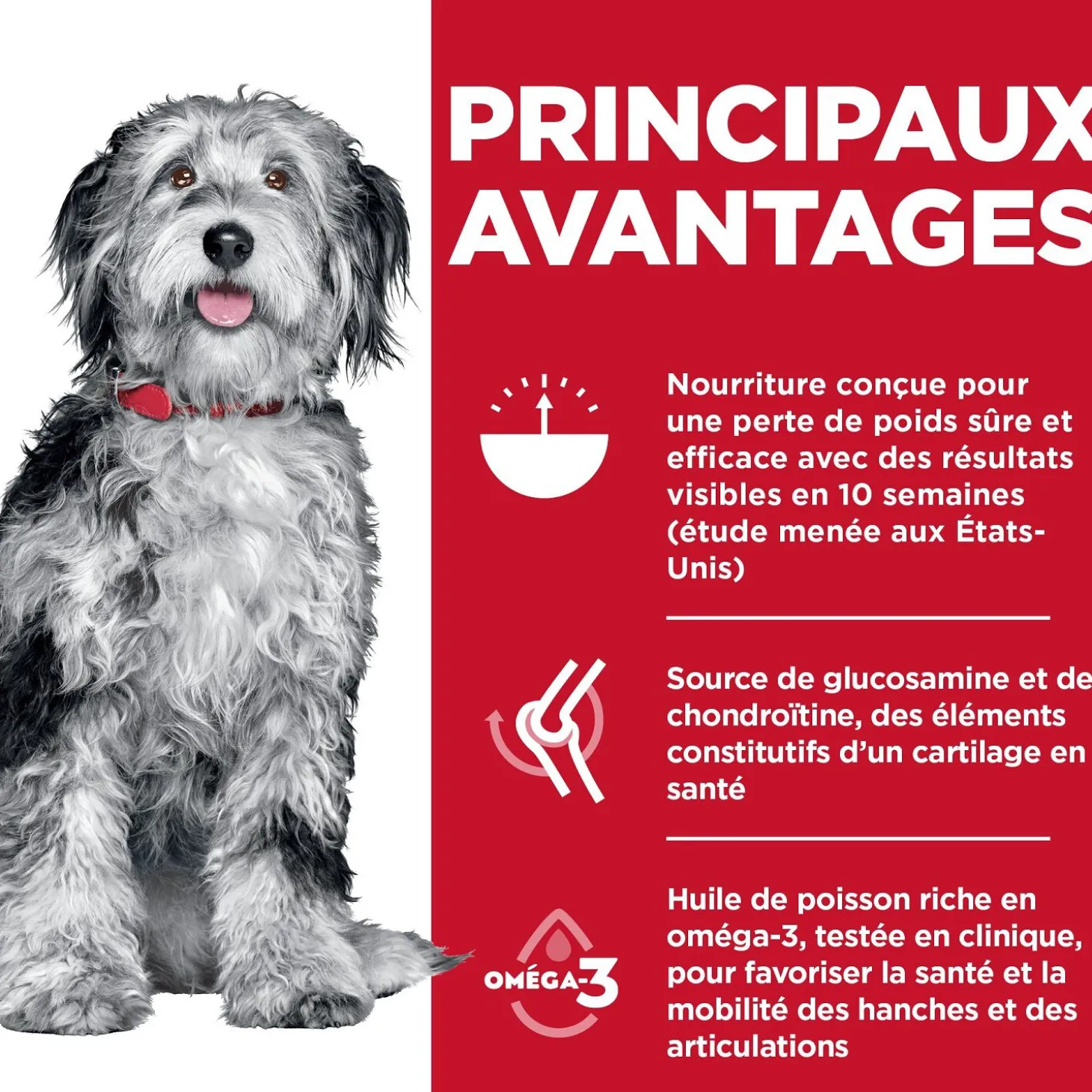 Adult Perfect Weight & Joint Support Chicken Dry Dog Food, 11.34 kg