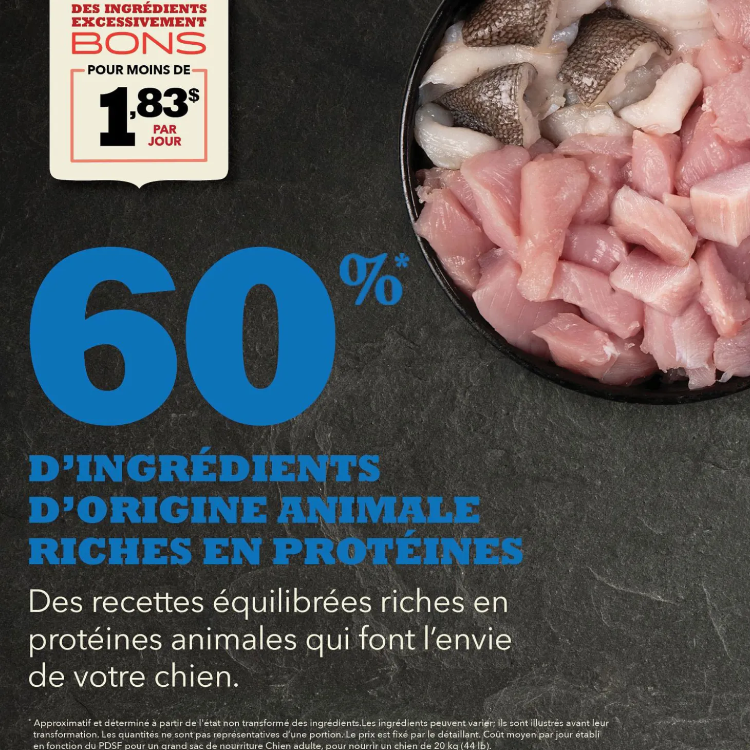 Adult Run-free Chicken and Raw Hake Recipe for Dogs, 6 kg