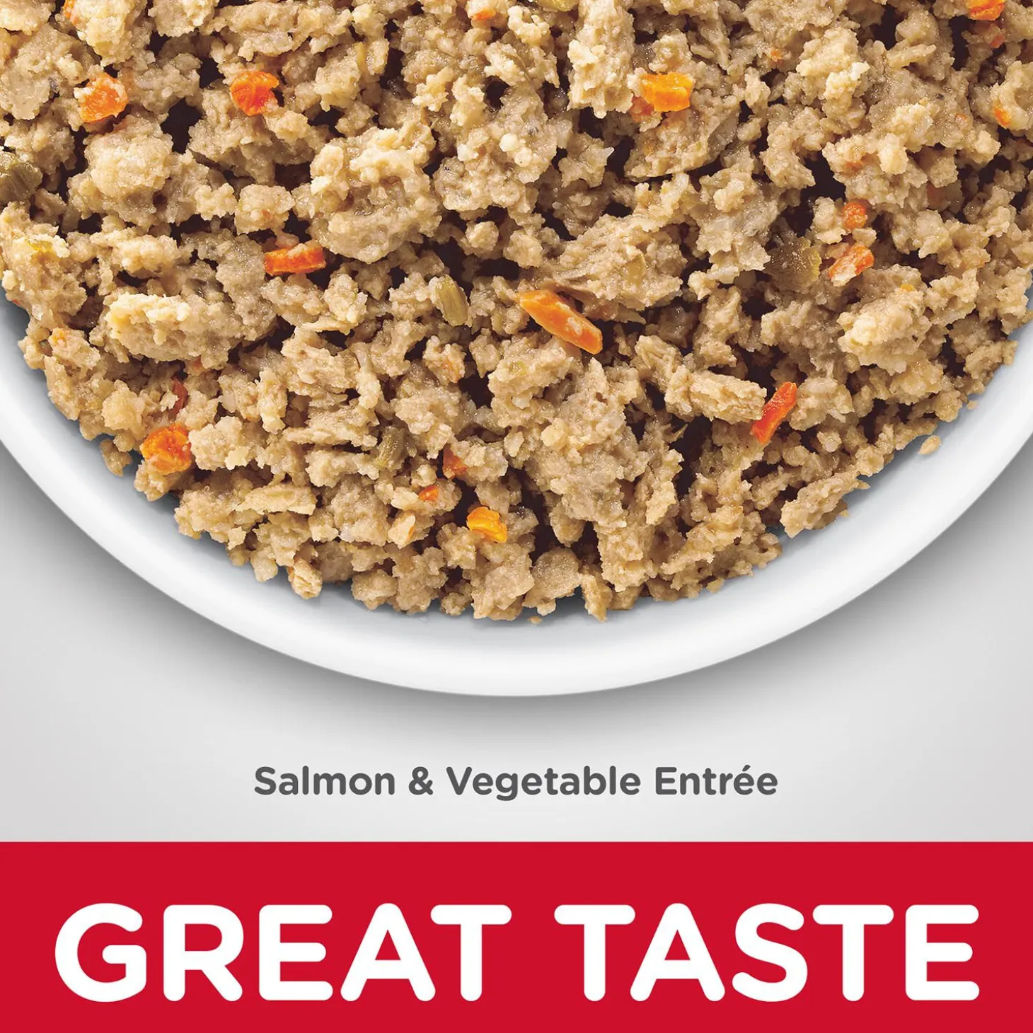Adult Sensitive Stomach & Skin Salmon & Vegetable Entrée for Dogs, 363 g
