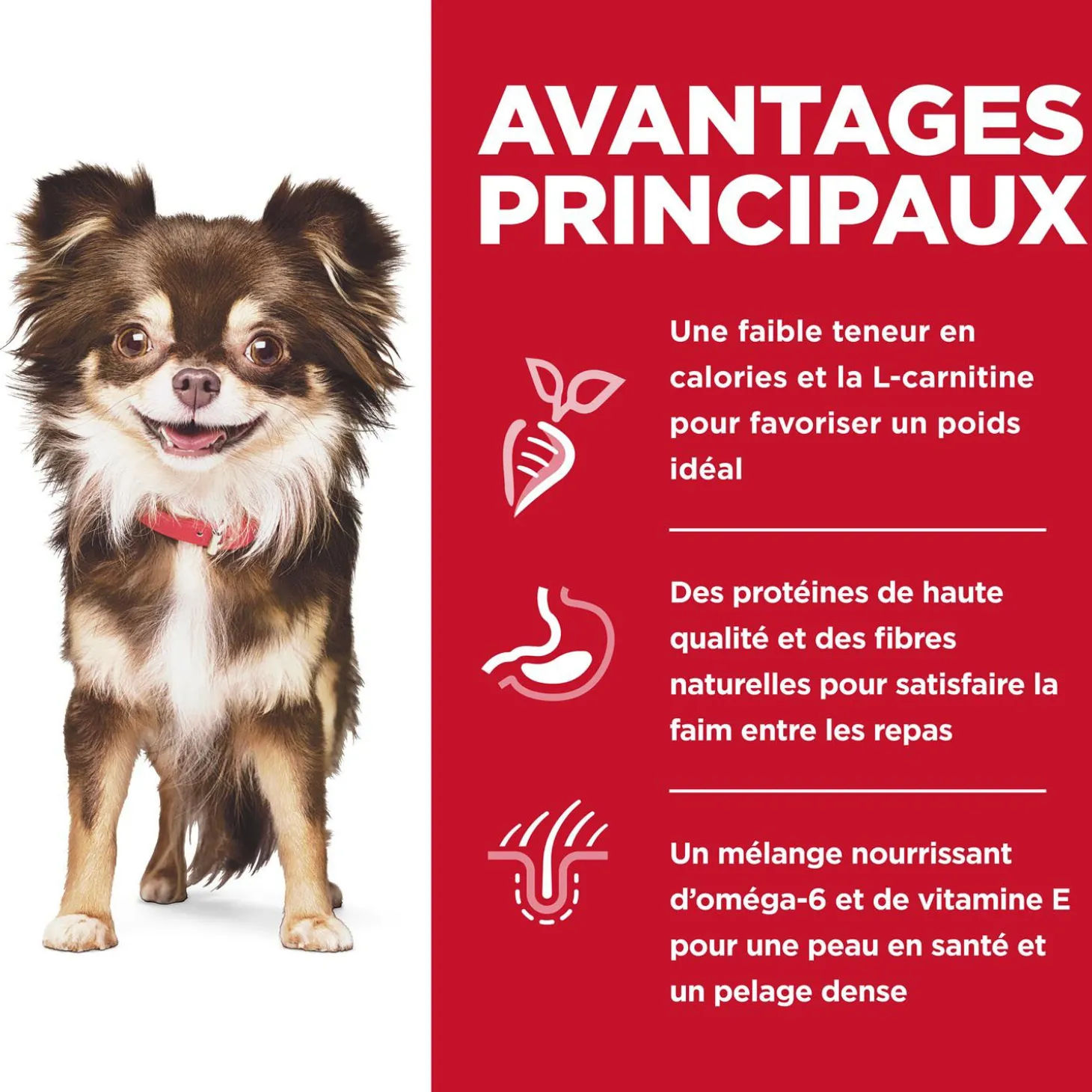 Adult Sensitive Stomach & Skin Small & Mini Chicken Dry Dog Food, 1.8 kg