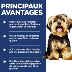 Adult Small Paws Dry Chicken Dog Food, 2 kg