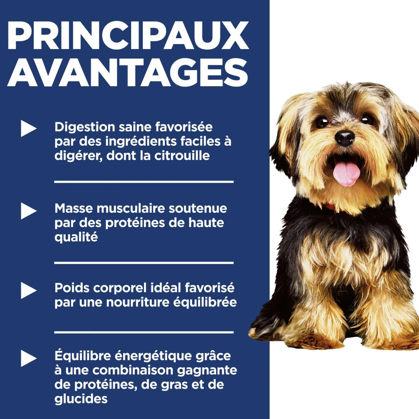 Adult Small Paws Dry Chicken Dog Food, 2 kg