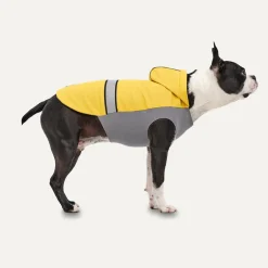 All-season Rain Coat for Dogs