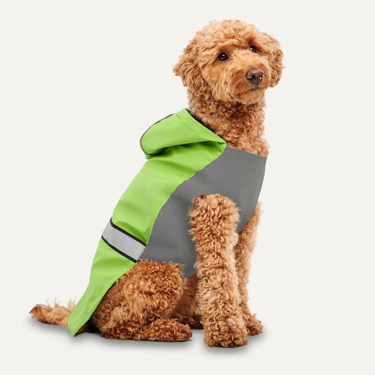 All-season Rain Coat for Dogs