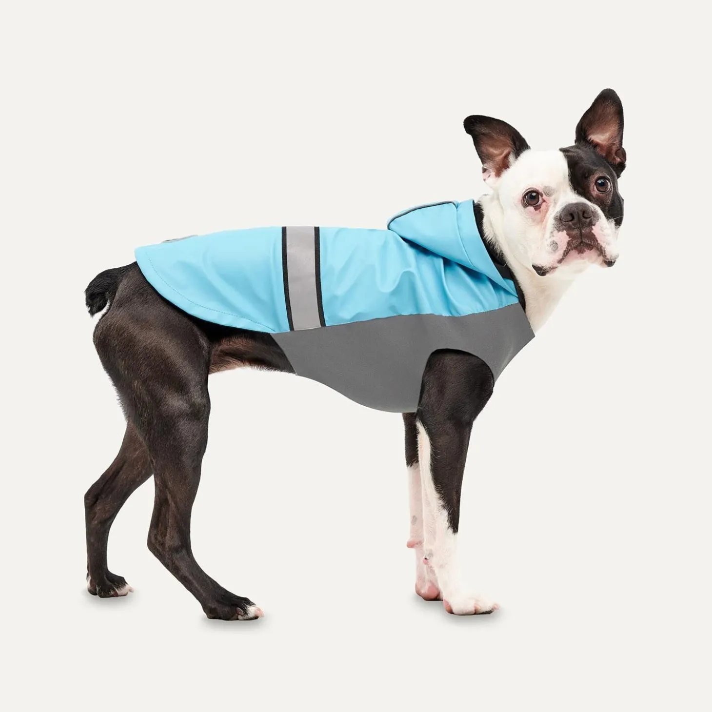 All-season Rain Coat for Dogs
