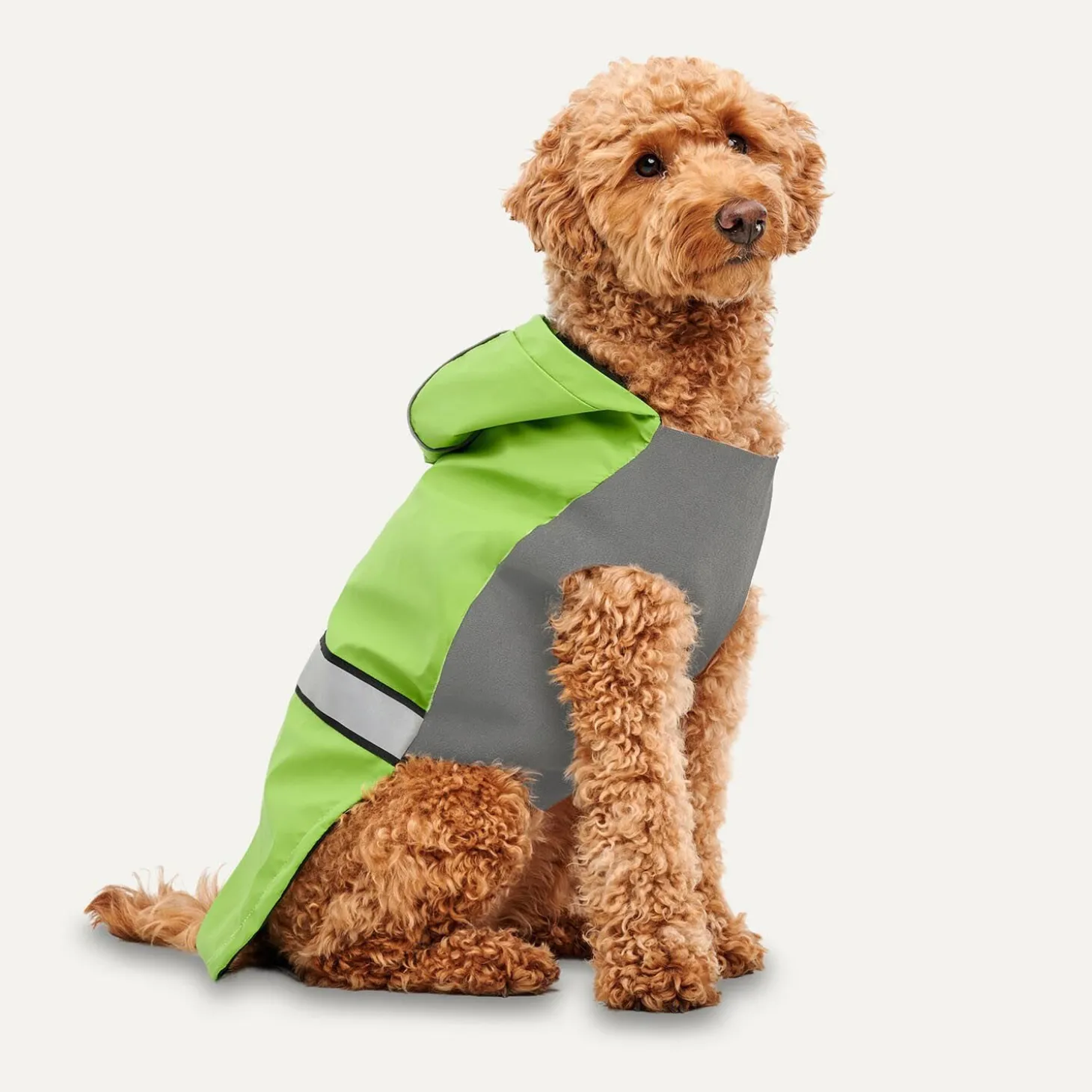 All-season Rain Coat for Dogs