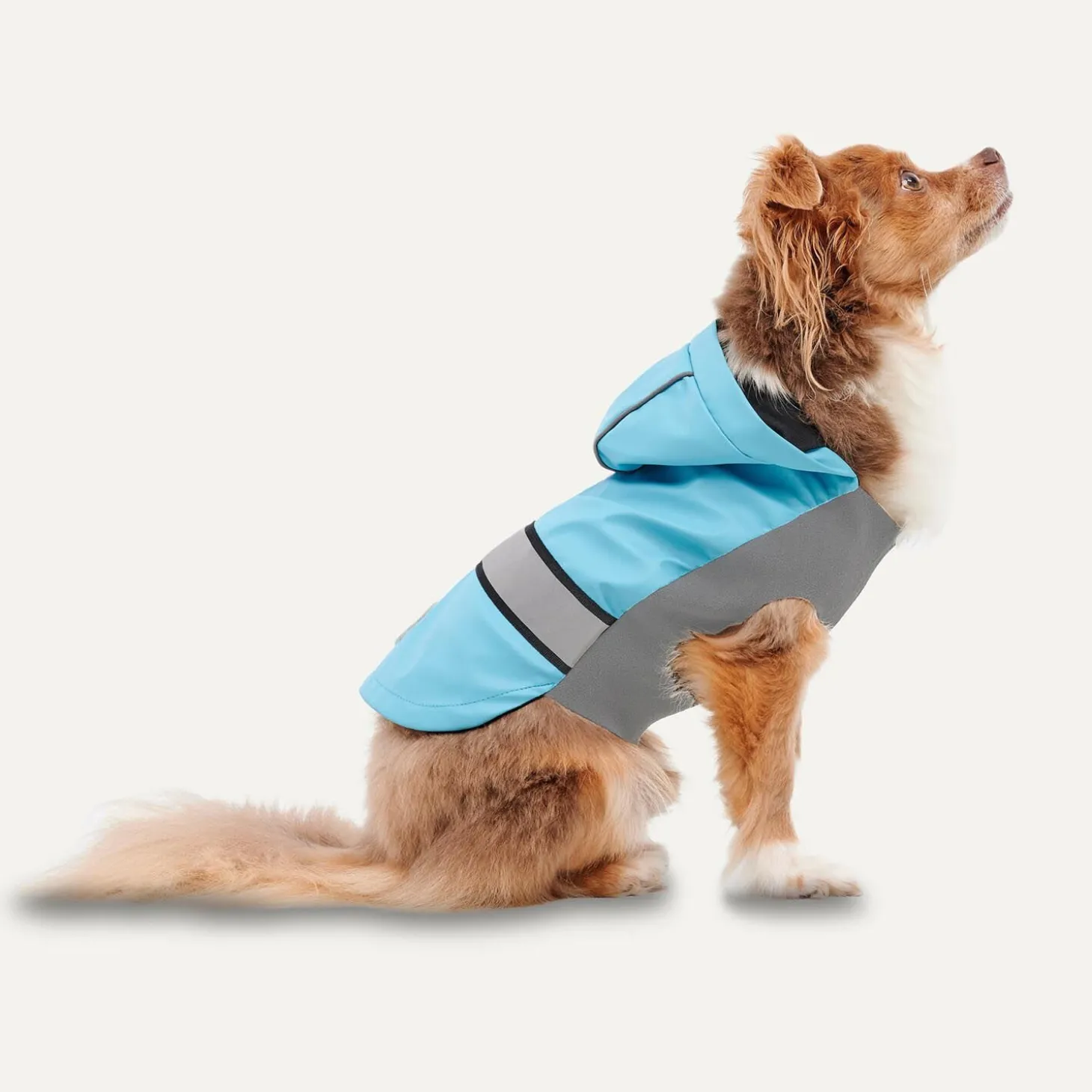 All-season Rain Coat for Dogs