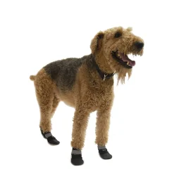 All-weather boots for dogs