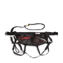 Amicale Belt and Bungee Leash for Dogs, red