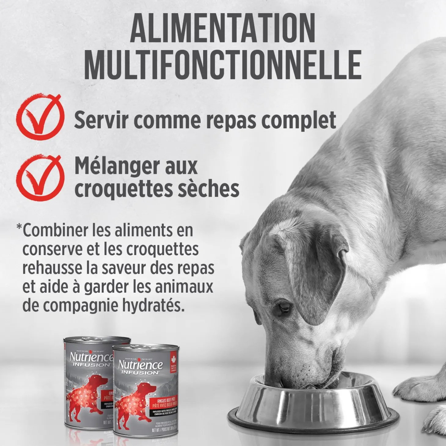Angus Beef Pâté for Dogs, 369 g