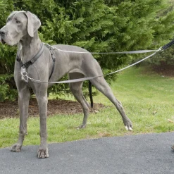 Anti-pull dog lead