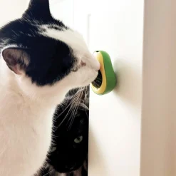 Avocado Cat Toy
