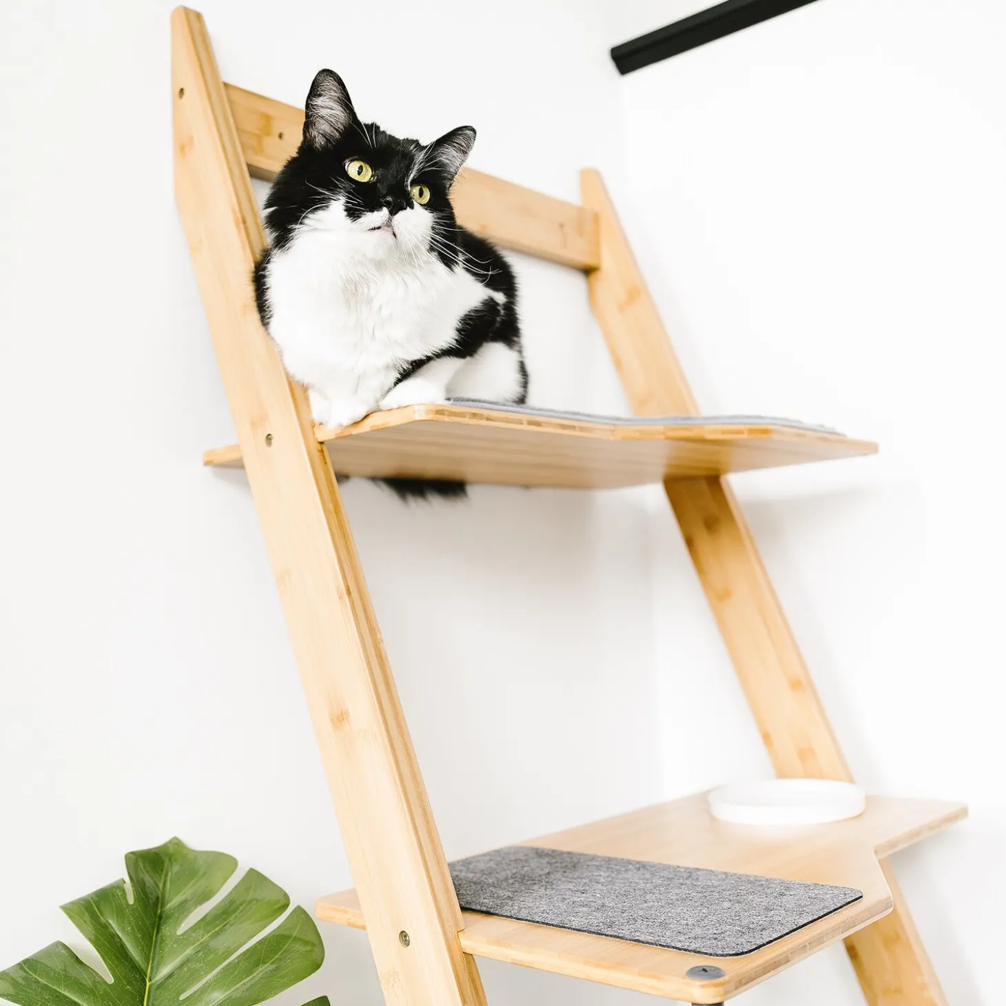Bamboo Ladder Cat Tree