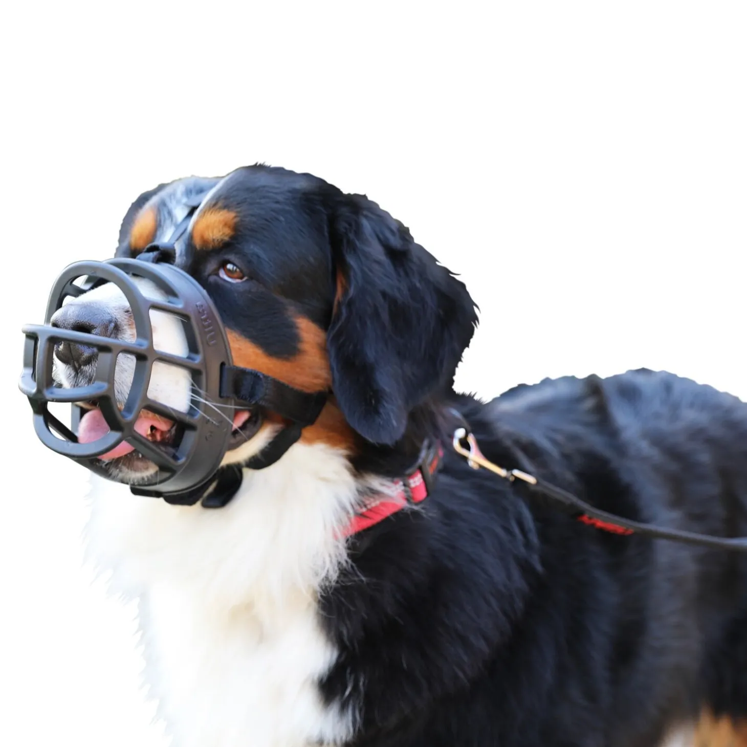 Baskerville Ultra Muzzle