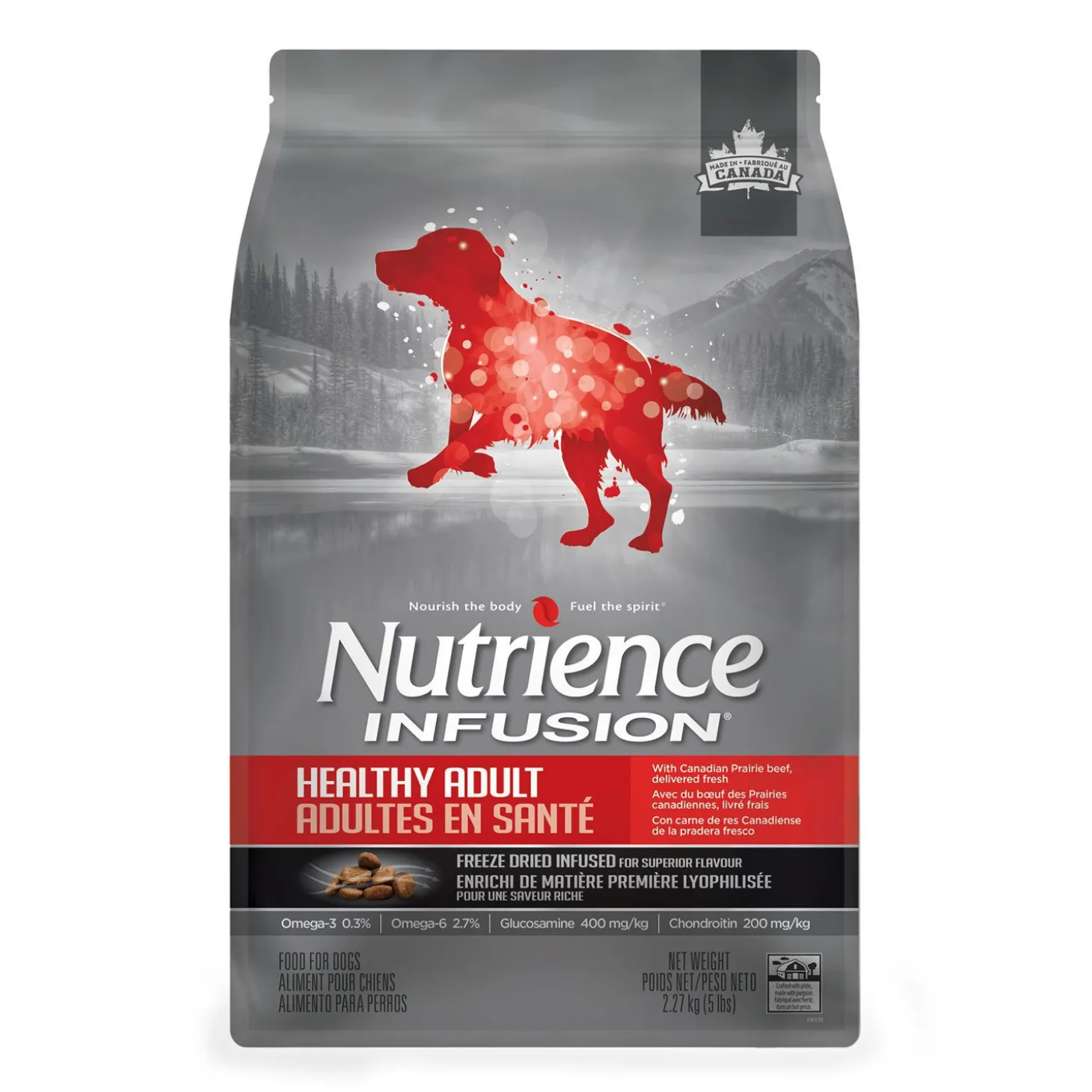 Beef food for adult dogs