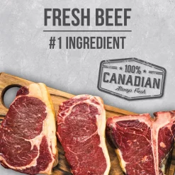 Beef food for adult dogs