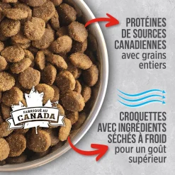 Beef food for adult dogs
