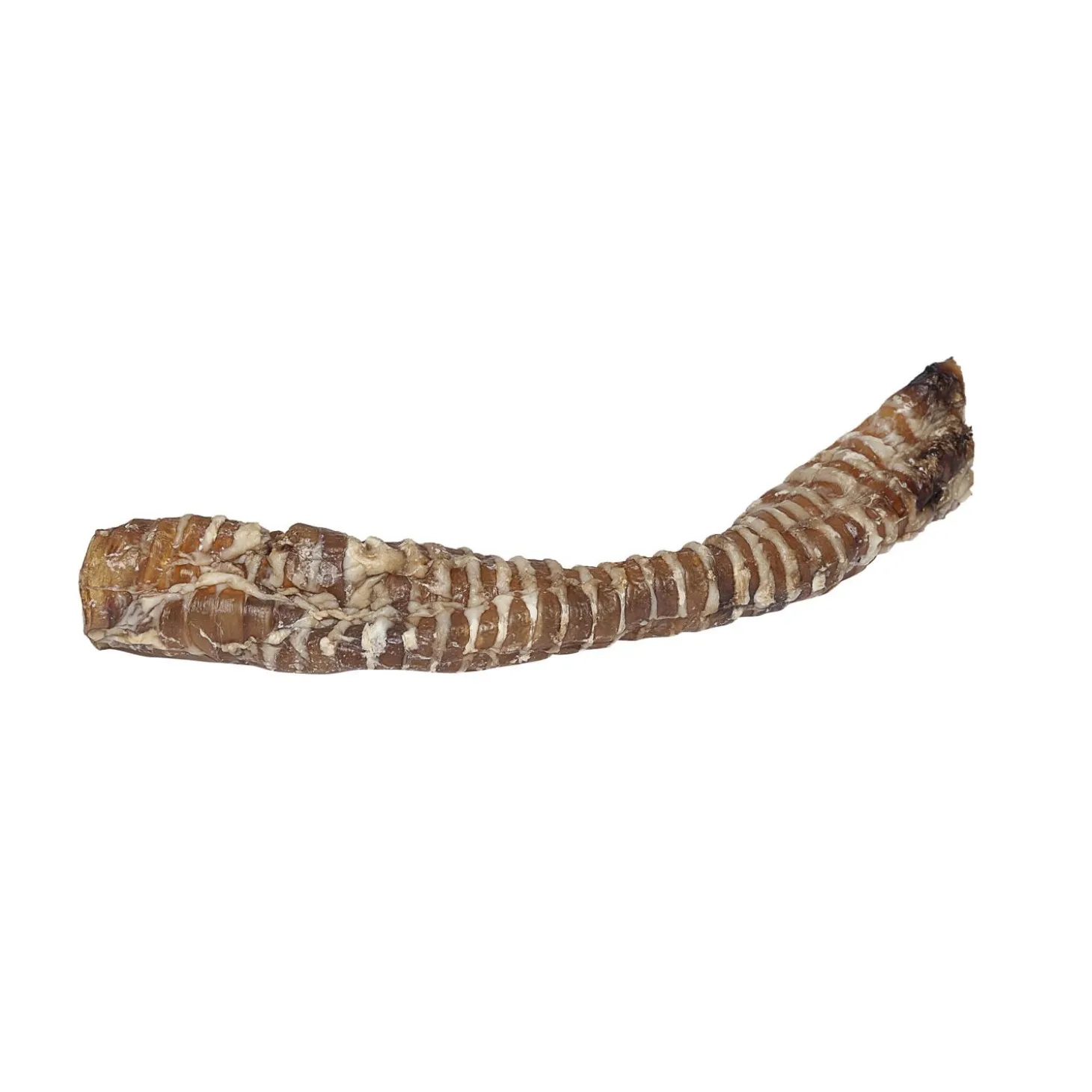 Beef Trechea for Dogs