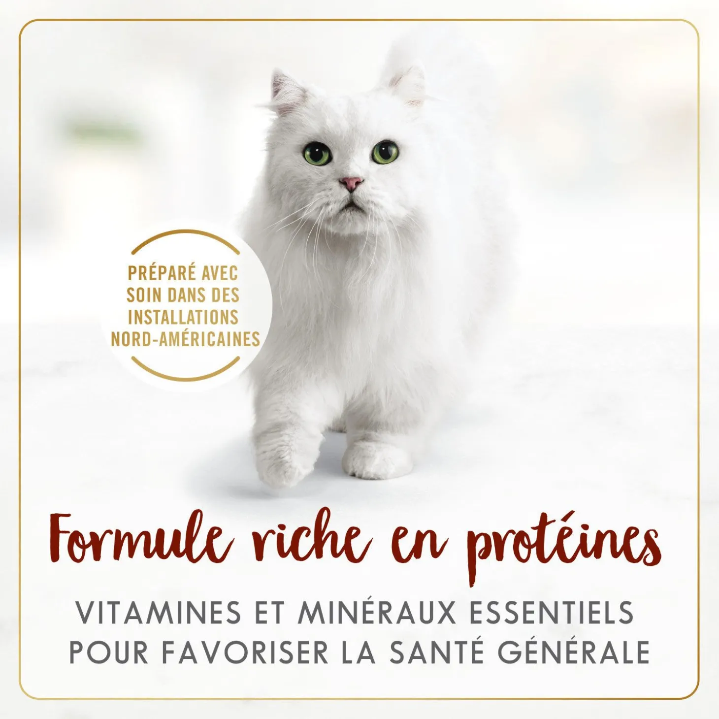 Beef wet food for adult cats