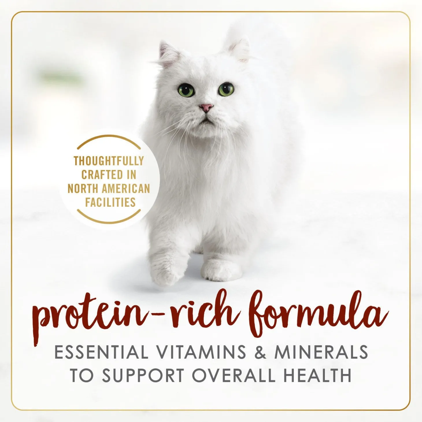 Beef wet food for adult cats