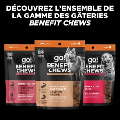 Benefit Chews Digestion + Gut Health Salmon Treats for Dogs