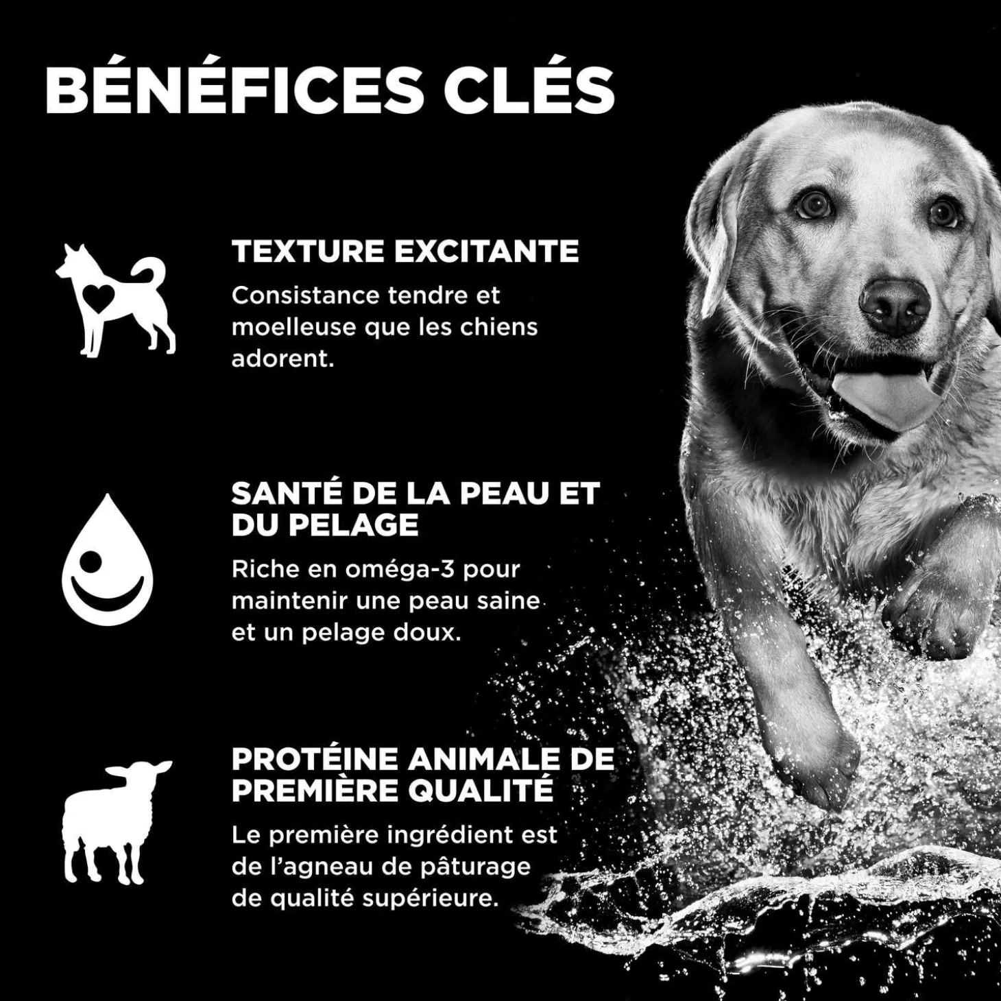 Benefit Chews Skin + Coat Care Lamb Treats for Dogs